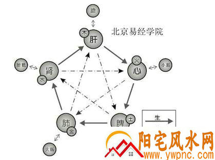 五行的生克法则