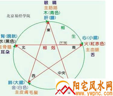 五行的生克法则