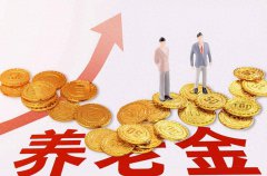 退休金和养老金的区别