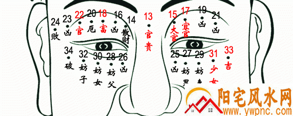 眼睛上有痣 眼睛上有痣