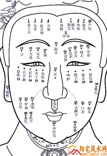 脸上的痣代表什么 脸上的痣代表什么