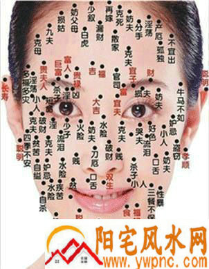 女面部<a data-cke-saved-href=http://.k366./enzhang/zhi/ href=http://.k366./enzhang/zhi/ target=_blank class=infotextkey>痣相</a>图解大全