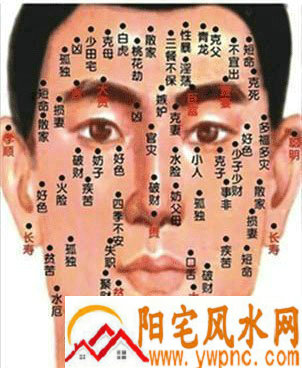 男面部痣相图解大全 男面部痣相图解大全