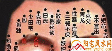 男人额头痣的位置与命运图 男人额头痣的位置与命运图