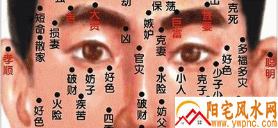 男人眼部痣的位置与命运图 男人眼部痣的位置与命运图