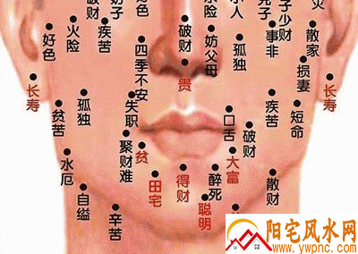 男人脸部痣的位置与命运图 男人脸部痣的位置与命运图