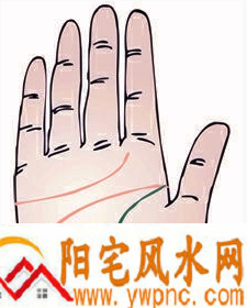 支线伸进月丘的生命线是什么? 支线伸进月丘的生命线是什么?