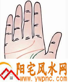 生命线旁另有一条线是什么线? 生命线旁另有一条线是什么线?