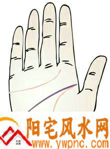 智慧线深入乾宫(月丘) 意味着什么?