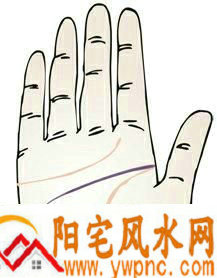 智慧线横越过手掌是什么意思? 智慧线横越过手掌是什么意思?