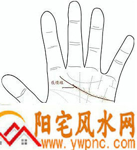 感情线复杂,代表感情很坎坷吗?