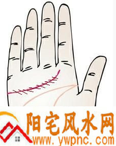 感情线上有不少小横线穿过代表什么? 感情线上有不少小横线穿过代表什么?