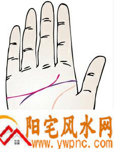 感情线止于无名指意味着什么? 感情线止于无名指意味着什么?