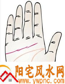 感情线上出现岛纹意味着什么? 感情线上出现岛纹意味着什么?