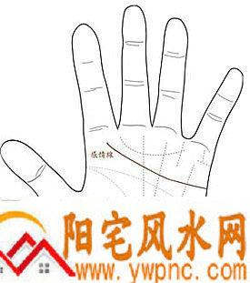 感情线过于弯曲,会有影响吗? 感情线过于弯曲,会有影响吗?