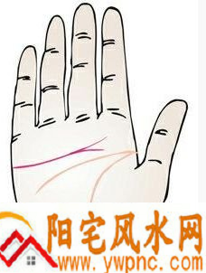 感情线分岔是什么意思? 感情线分岔是什么意思?