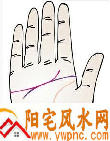 感情线与智慧线重叠预示着什么? 感情线与智慧线重叠预示着什么?