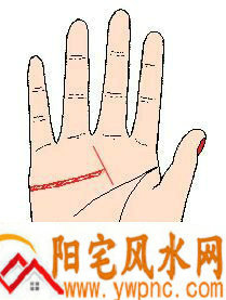 感情线在中指时被一条很清晰的线在末端截断 感情线在中指时被一条很清晰的线在末端截断