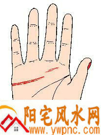 感情线在中指下中断且两线不牵连 感情线在中指下中断且两线不牵连
