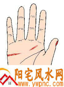 感情线断开,且裂痕太大 感情线断开,且裂痕太大