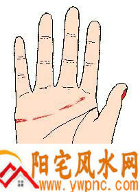 感情线断断续续或呈碎裂状 感情线断断续续或呈碎裂状