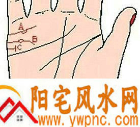 婚姻线上有岛纹代表什么? 婚姻线上有岛纹代表什么?