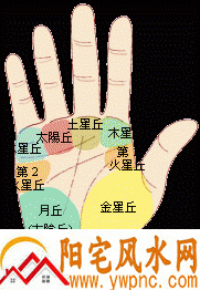 从手相来看一个人的命运 从手相来看一个人的命运