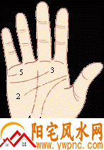 从手相来看一个人的命运 从手相来看一个人的命运