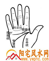 容易走桃花运的几种手相 容易走桃花运的几种手相