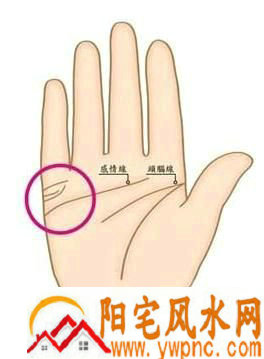 教你看手相揭密你的婚姻真相 教你看手相揭密你的婚姻真相