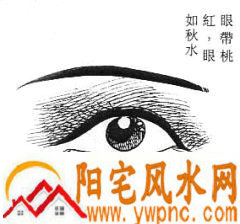 女性面相算命图解 女性面相算命图解