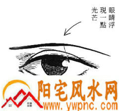 女性面相算命图解 女性面相算命图解