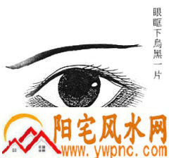 女性面相算命图解 女性面相算命图解