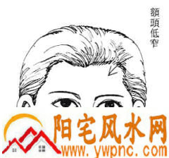 女性面相算命图解 女性面相算命图解