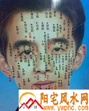 五官看相图解 五官看相图解