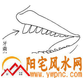 女人面相算命图解 女人面相算命图解