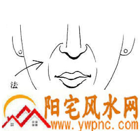 女人面相算命图解 女人面相算命图解