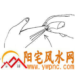 女人面相算命图解 女人面相算命图解