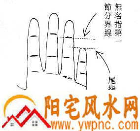 女人面相算命图解 女人面相算命图解