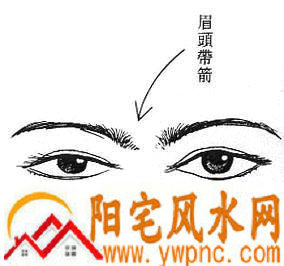 女人面相算命图解 女人面相算命图解