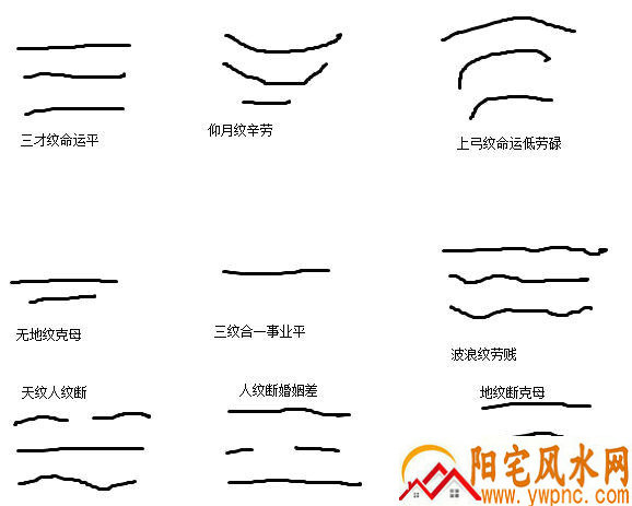 男人额头有横纹代表什么 男人额头有横纹代表什么