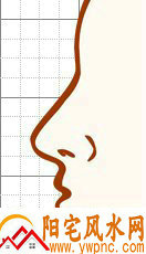 nose10.jpg nose10.jpg