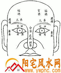 子女缘薄的面相 子女缘薄的面相