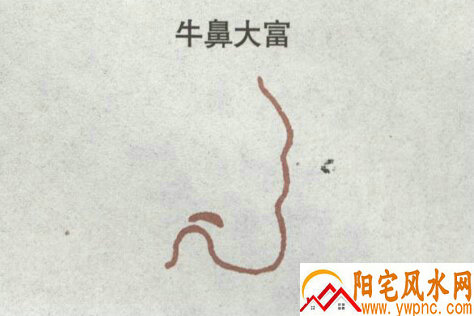 牛鼻大富 牛鼻大富