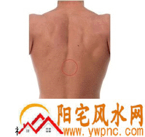 胎记生在背部正中间 胎记生在背部正中间