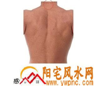 颈后中侧若生有胎记 颈后中侧若生有胎记