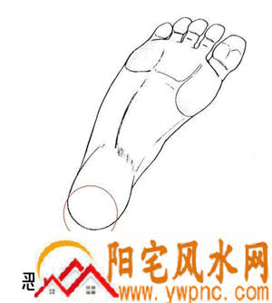 脚后跟有胎记 脚后跟有胎记