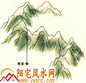 风水学中的枝龙指的是什么