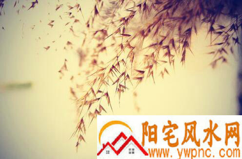 帅气男生适用的QQ名字