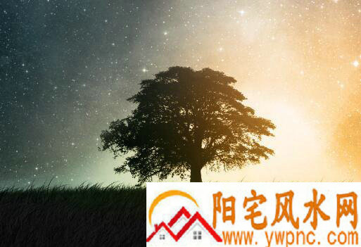 QQ超拽冷酷网名